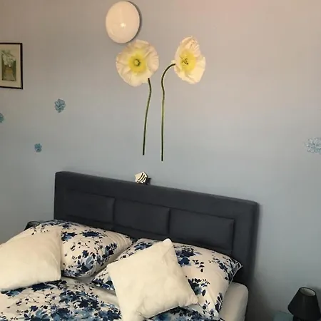 House4you Kožino